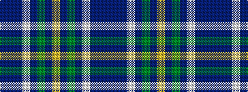 idealised woven sample of pattern BBBWBGBY