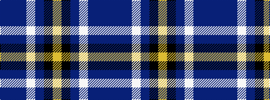 idealised woven sample of pattern BBBWBKY