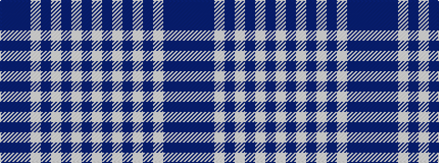 idealised woven sample of pattern BBBWBWBWBW