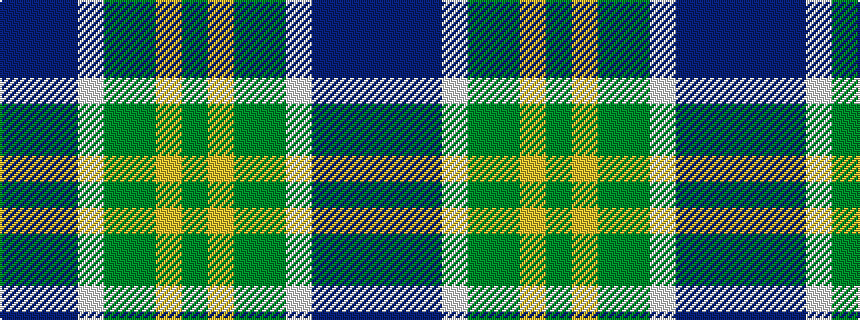 idealised woven sample of pattern BBBWGGYG