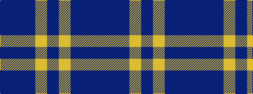 idealised woven sample of pattern BBBYB