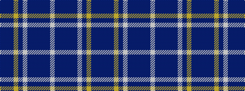 idealised woven sample of pattern BBBYBWBBBBBW