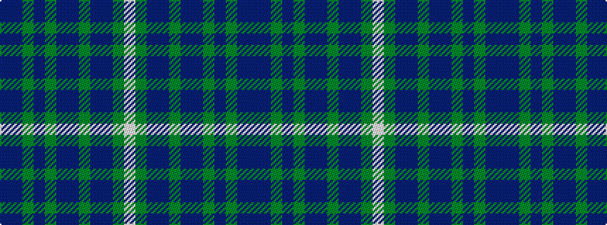 idealised woven sample of pattern BBGBGBBGBBGW