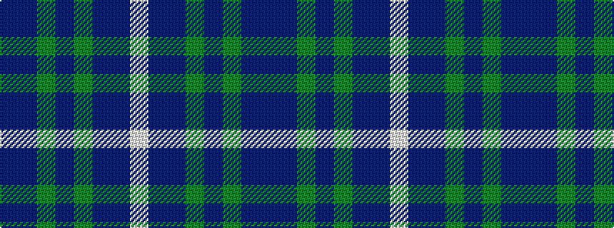 idealised woven sample of pattern BBGBGBBW