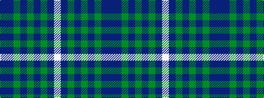 idealised woven sample of pattern BBGBGBGBW