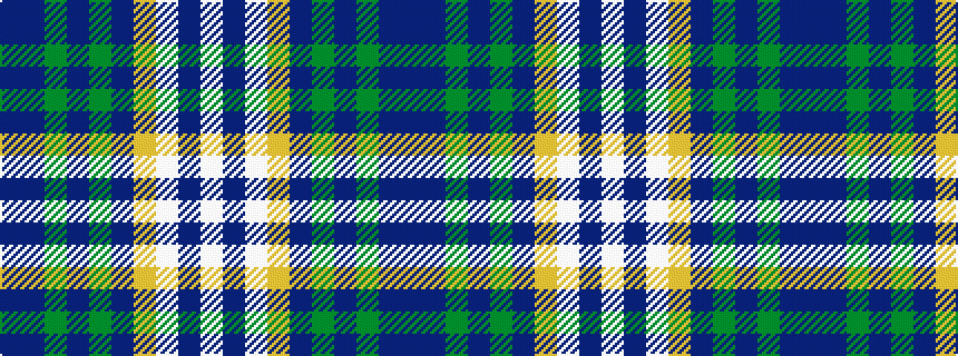 idealised woven sample of pattern BBGBGBYWBW