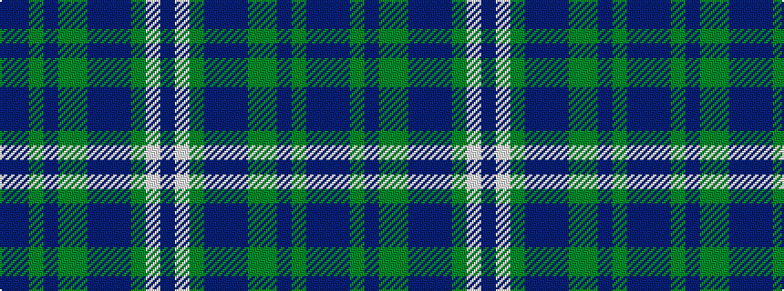 idealised woven sample of pattern BBGBGGBBBGWB
