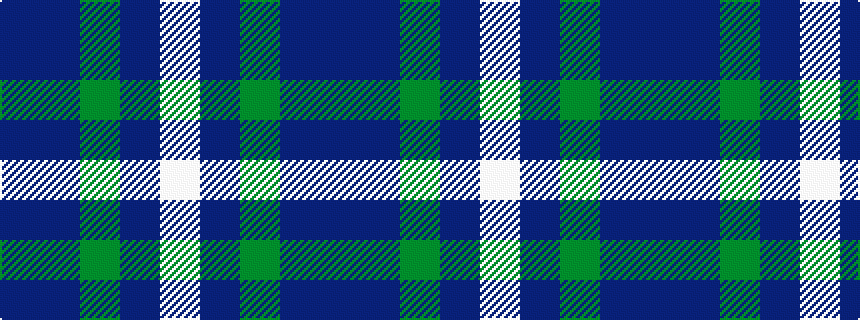 idealised woven sample of pattern BBGBW