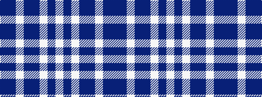 idealised woven sample of pattern BBWBBWBW