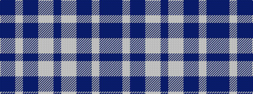 idealised woven sample of pattern BBWBBWWB