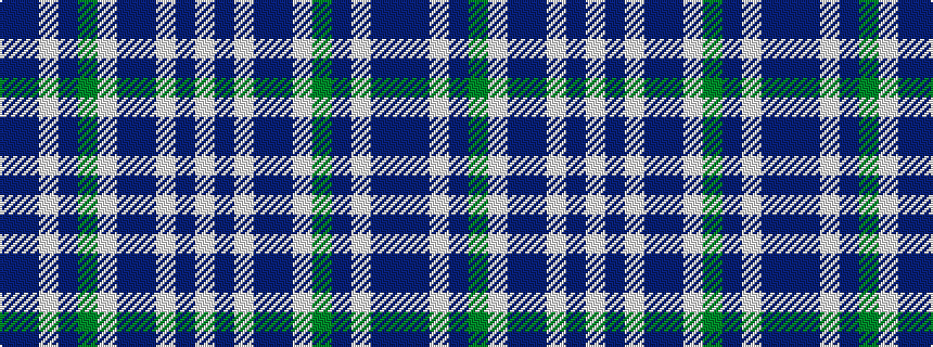 idealised woven sample of pattern BBWBGWBBWBW