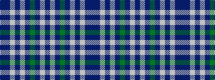 idealised woven sample of pattern BBWBWBGBWB