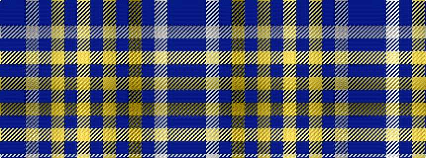 idealised woven sample of pattern BBWBYBYB