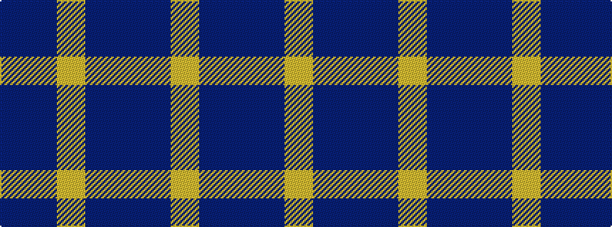 idealised woven sample of pattern BBYBB