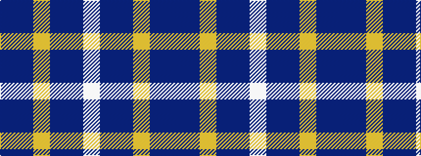 idealised woven sample of pattern BBYBBW
