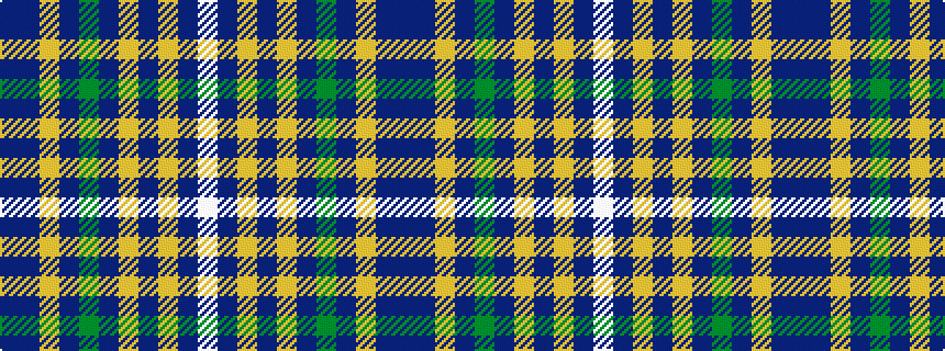 idealised woven sample of pattern BBYBGBYBYBW