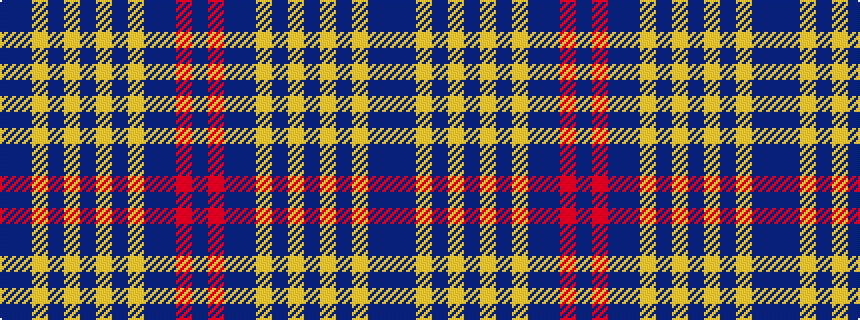 idealised woven sample of pattern BBYBYBYBYBBRB