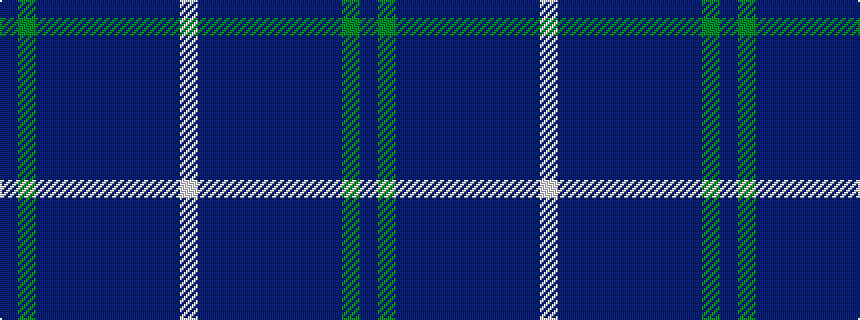 idealised woven sample of pattern BGBBBBBBBBW