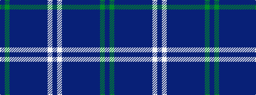 idealised woven sample of pattern BGBBBBBBBBWB