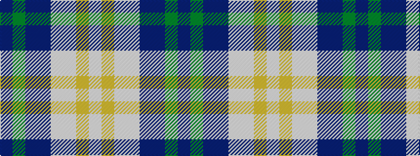 idealised woven sample of pattern BGBBWWYW