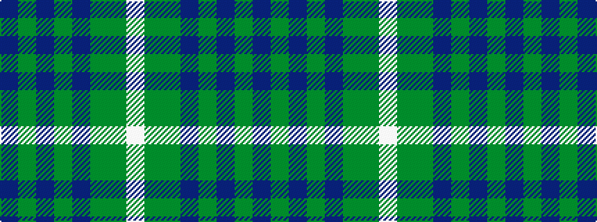 idealised woven sample of pattern BGBGBGGW
