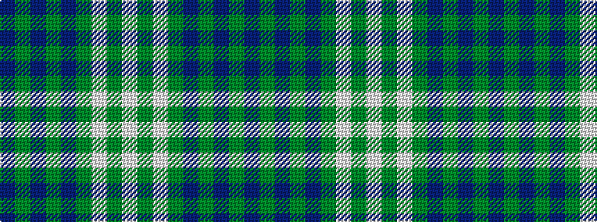 idealised woven sample of pattern BGBGBGWGW
