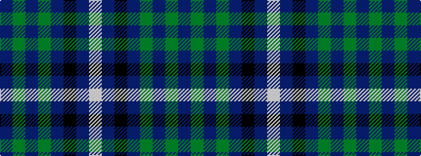 idealised woven sample of pattern BGBGBKBW
