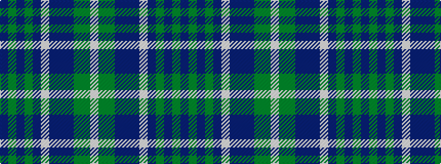 idealised woven sample of pattern BGBGBWBBBGGW