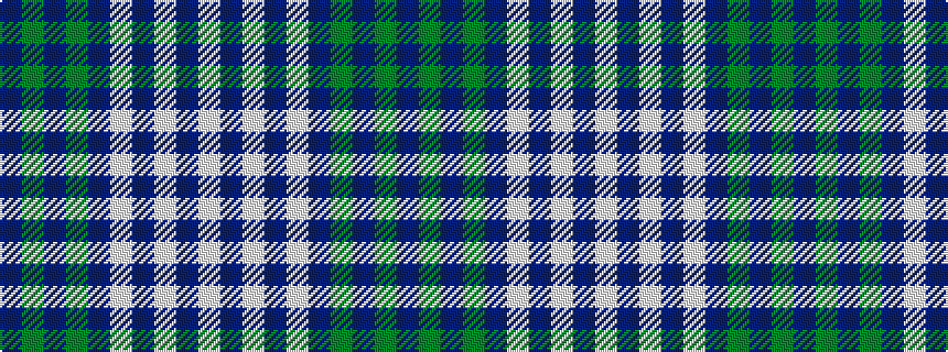 idealised woven sample of pattern BGBGBWBWBW