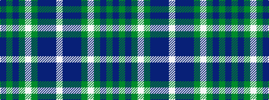 idealised woven sample of pattern BGBGWGBBBW