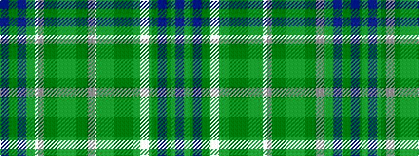idealised woven sample of pattern BGBGWGGGGGW