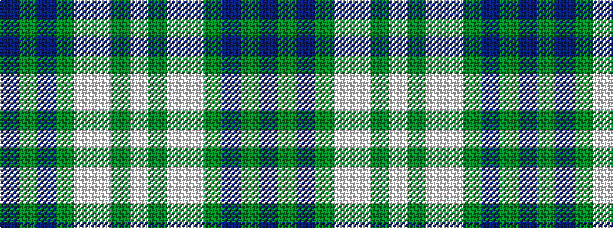 idealised woven sample of pattern BGBGWWGW