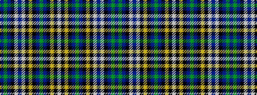idealised woven sample of pattern BGBKWBWKYKBGBKYKW