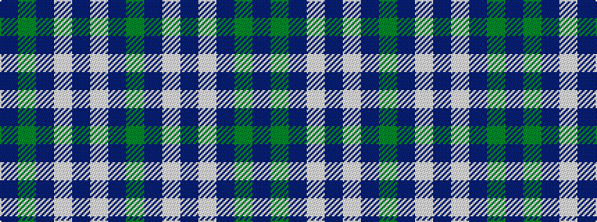 idealised woven sample of pattern BGBWBWBG