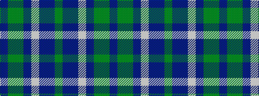 idealised woven sample of pattern BGGBWBBG