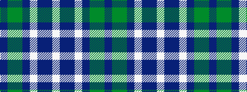 idealised woven sample of pattern BGGBWBBW