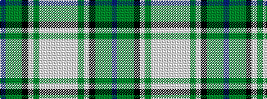idealised woven sample of pattern BGGGKWGWWWW