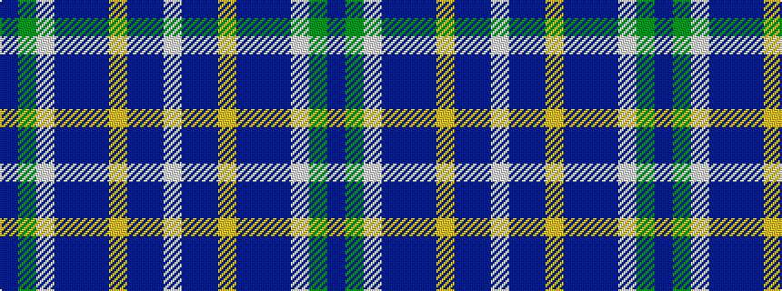 idealised woven sample of pattern BGWBBBYBBW