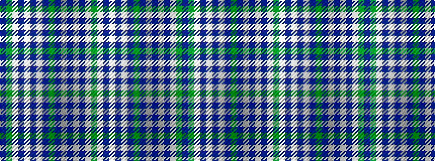 idealised woven sample of pattern BGWBWBWBGBWBWBWG