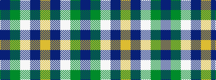 idealised woven sample of pattern BGWBY