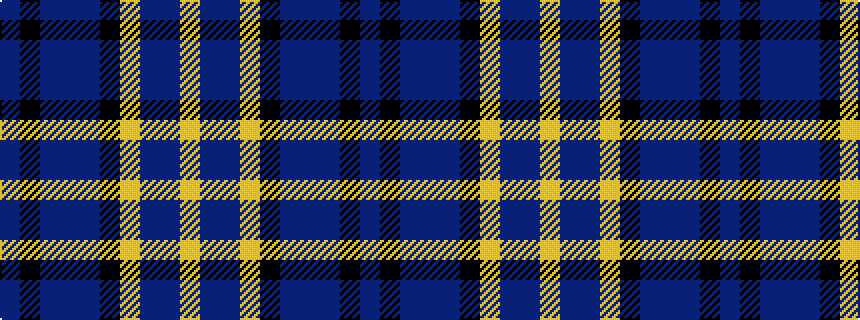 idealised woven sample of pattern BKBBBKYBBY