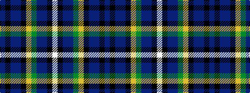 idealised woven sample of pattern BKBBKYGBBKW
