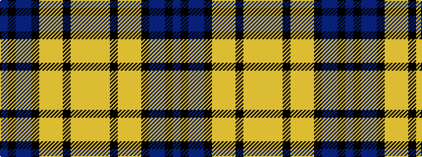 idealised woven sample of pattern BKBBKYYYKYYY