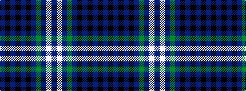 idealised woven sample of pattern BKBKBKBGBWB