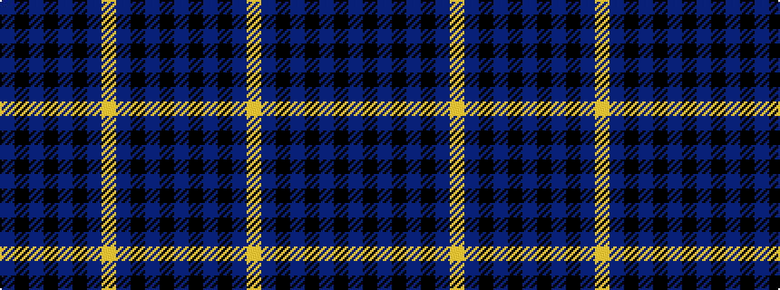 idealised woven sample of pattern BKBKBKBYBKBKB