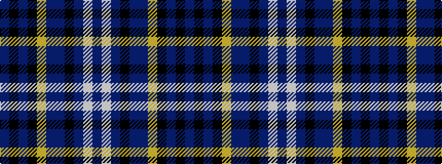 idealised woven sample of pattern BKBKYBBKBWB