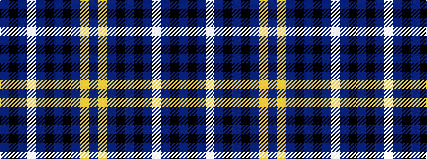 idealised woven sample of pattern BKBWBKBKBYB