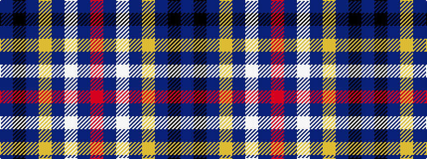 idealised woven sample of pattern BKBYBWBR