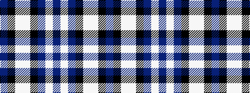 idealised woven sample of pattern BKWWKBWB