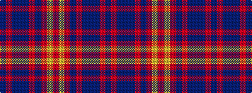 idealised woven sample of pattern BRBBBRBRYR